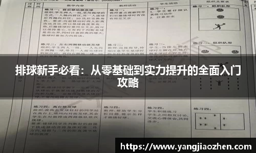 排球新手必看：从零基础到实力提升的全面入门攻略