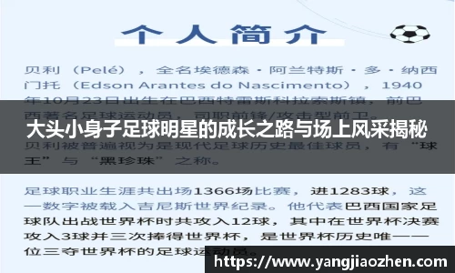 完美体育365平台官网