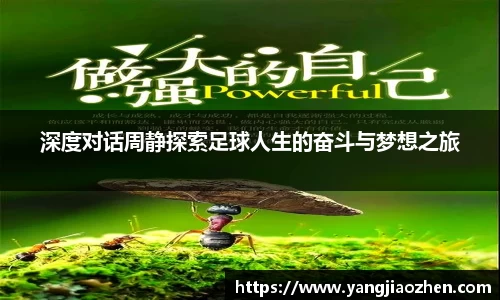 完美体育365官方网站